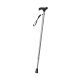 Cairnhill Healthcare Walking Stick YWA-821