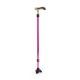 Cairnhill Healthcare Walking Stick YWA-828